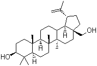 桦木醇